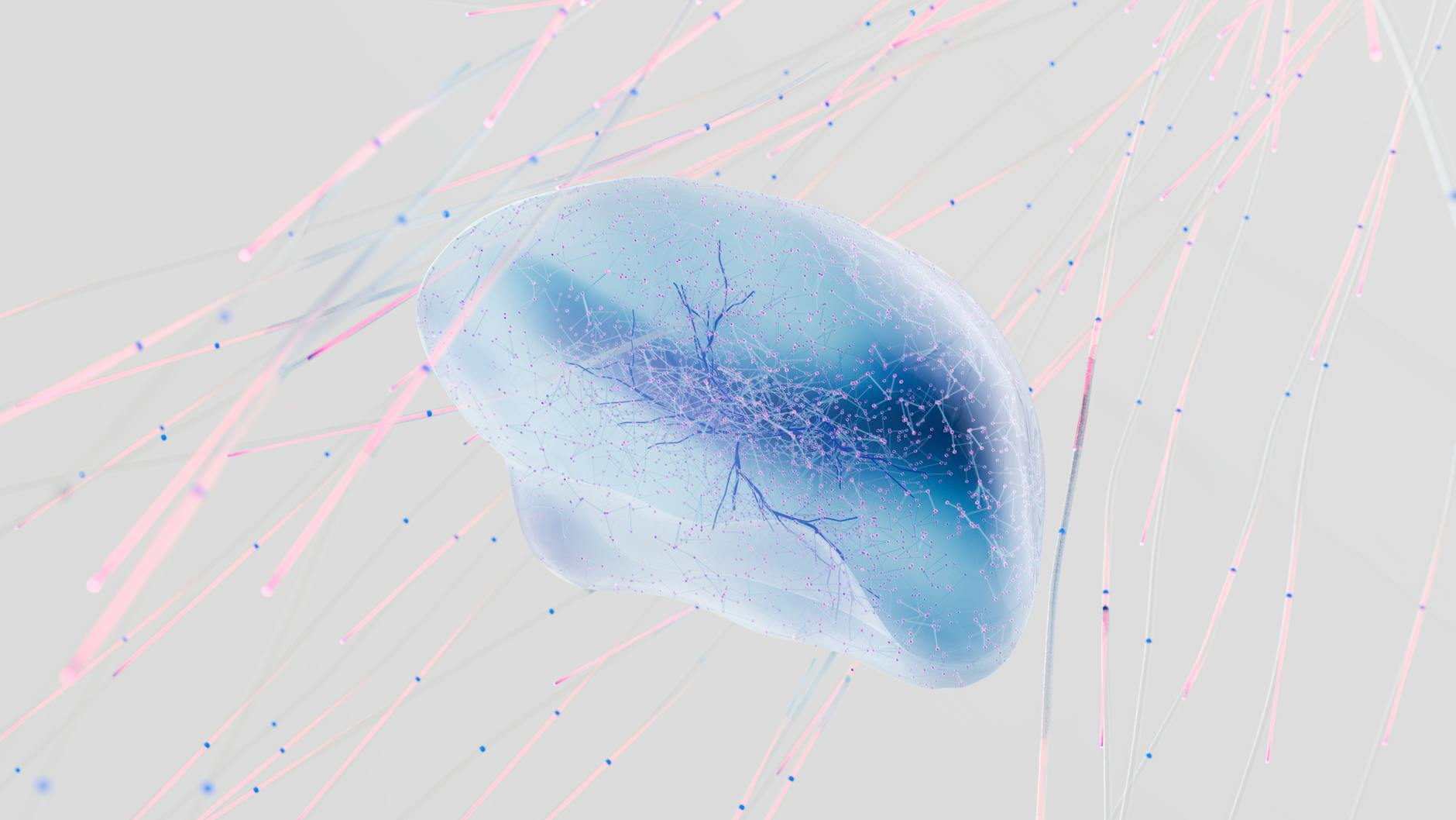 an artist s illustration of artificial intelligence ai this image represents how machine learning is inspired by neuroscience and the human brain it was created by novoto studio as par